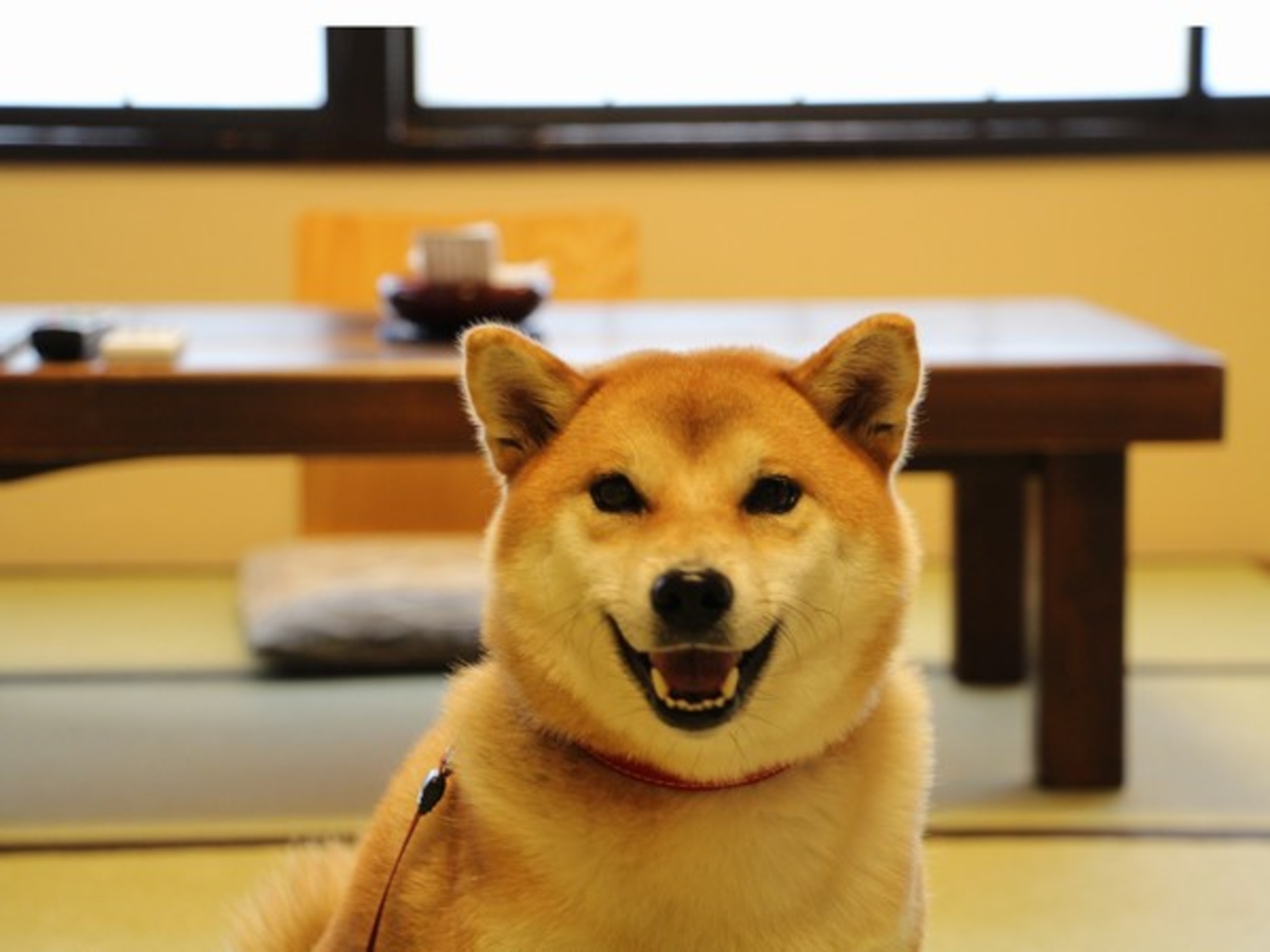 丸山温泉　古城館 4枚目のサムネイル